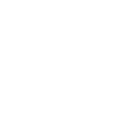 Web Development Icon